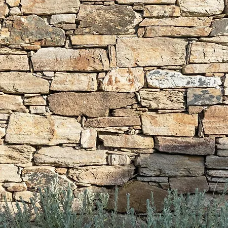 White Tinos Luxury 別荘 *