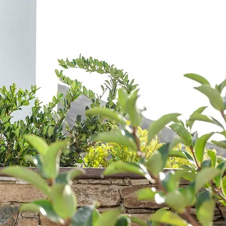 White Tinos Luxury Tatil Evi