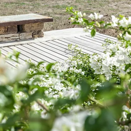 Tatil Evi White Tinos Luxury Stení