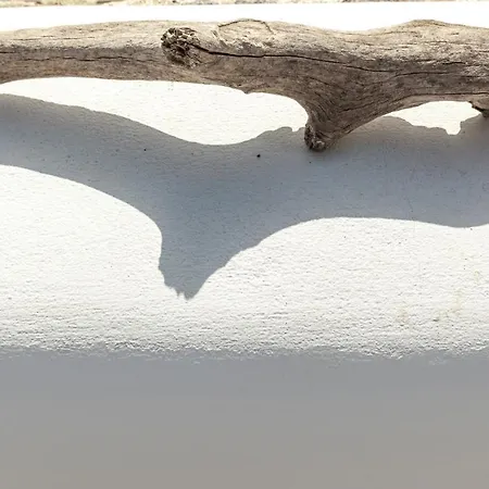 White Tinos Luxury Tatil Evi *